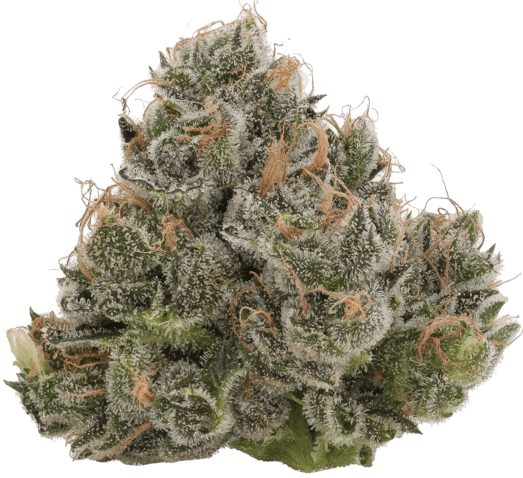 Northern Lights image 1